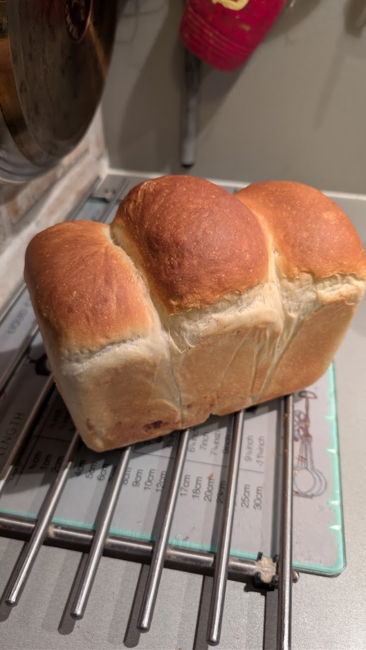 Sandwich Sourdough Loaf